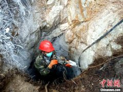 西藏142个电网建设工程项目有序复工